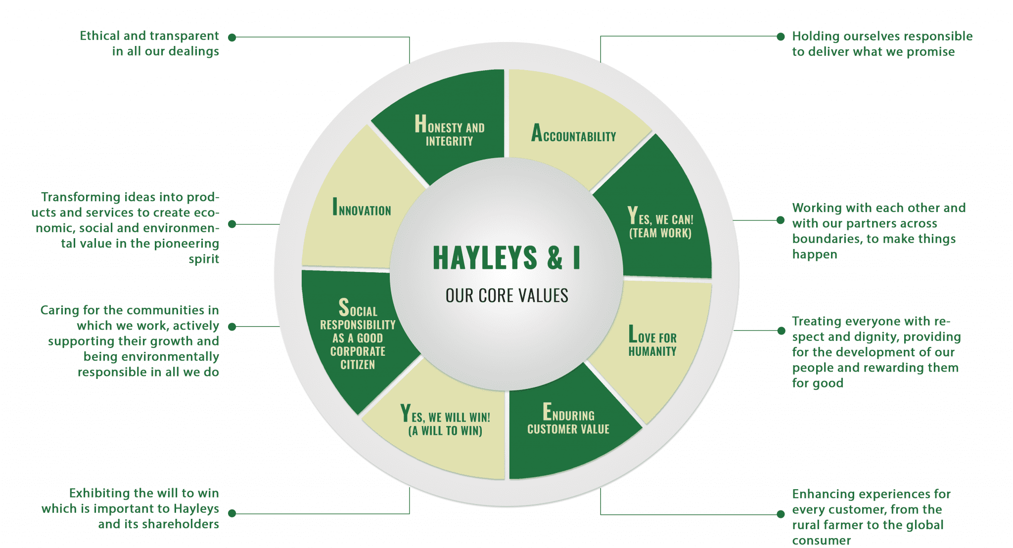Hayley Size Chart
