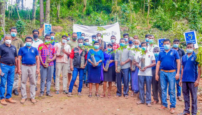 DPL enhances its rubber supply chain
