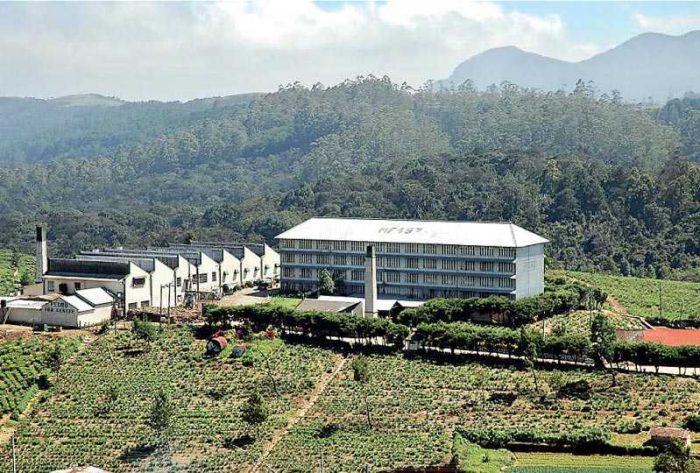 Pedro Estate sets an all-time record price