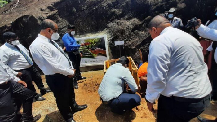 Surakimu Ganga Programme Technical Coordinator Dr. Manoj Prasanna from the Ministry of Environment planting a native fruit sapling at the launch of the initiative