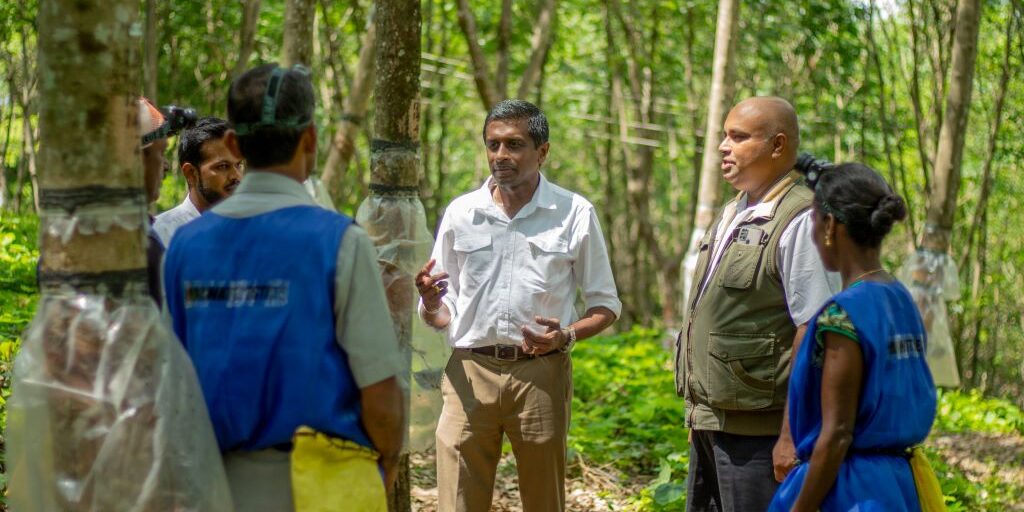 Uncovering the human element in ESG at Kelani Valley Plantations (4)
