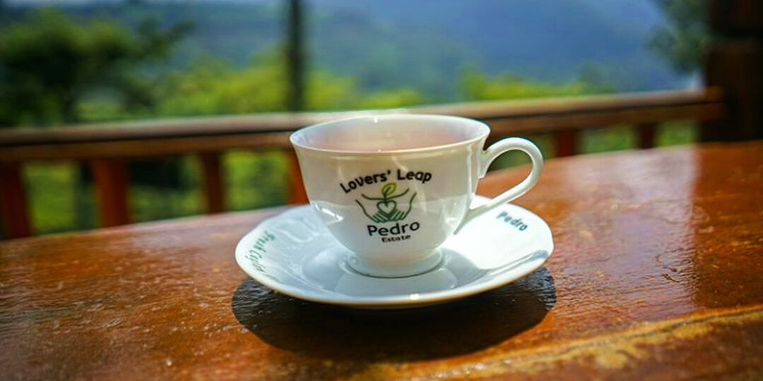 Pedro Estate is the source of some of the world’s best teas under the Mahagastota and Lovers Leap marks (1)