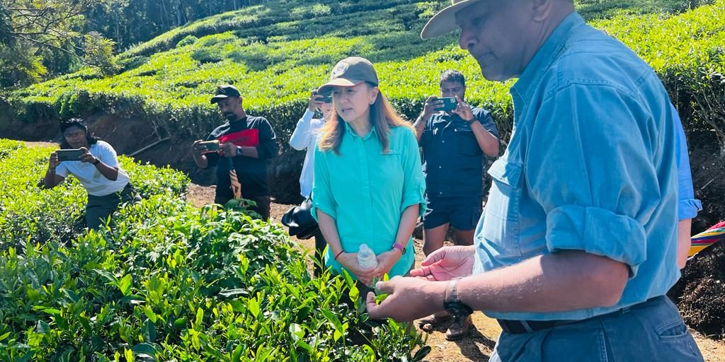 US Ambassador visits Hayleys Plantations’ Pedro Tea Estate (2)