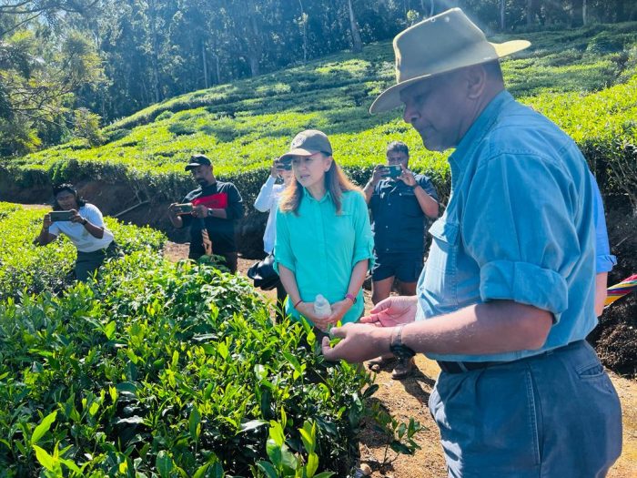 US Ambassador visits Hayleys Plantations’ Pedro Tea Estate (2)