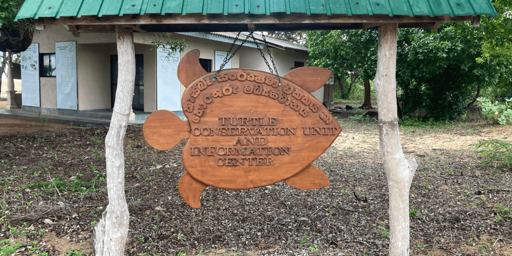 Kumana Turtle Conservation Unit and Information Center (1)