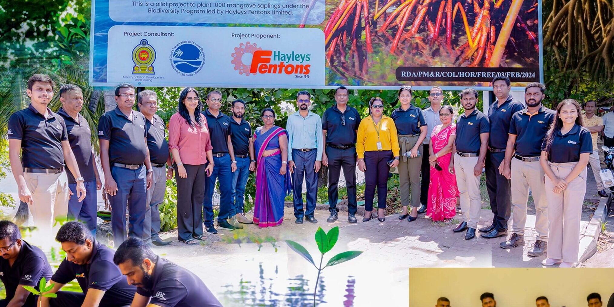 Hayleys Fentons Launches “Roots of Resilience” Programme to Restore Bolgoda River’s Mangroves Hayleys-Fentons-Launches-Roots-of-Resilience-Programme-to-Restore-Bolgoda-Rivers-Mangroves