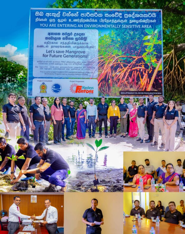 Hayleys Fentons Launches “Roots of Resilience” Programme to Restore Bolgoda River’s Mangroves Hayleys-Fentons-Launches-Roots-of-Resilience-Programme-to-Restore-Bolgoda-Rivers-Mangroves