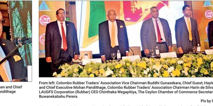 Hayleys Chief Mohan Pandithage outlines strategic vision for rubber industry