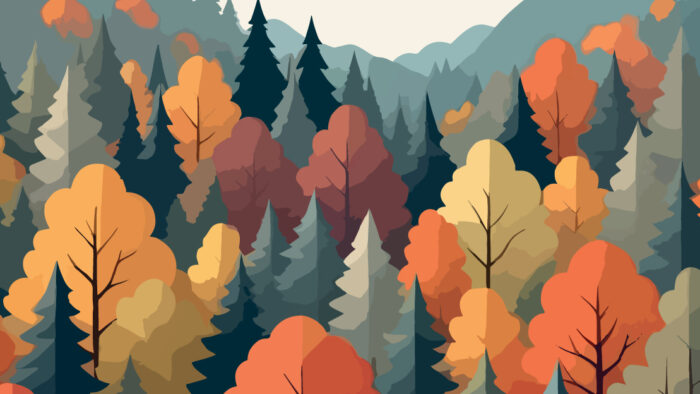 Cover-Banner