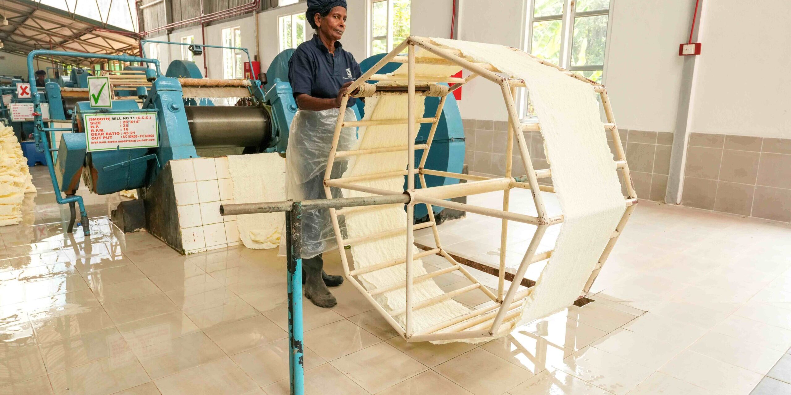 Horana Plantations complies with European Union Deforestation Regulations (1)