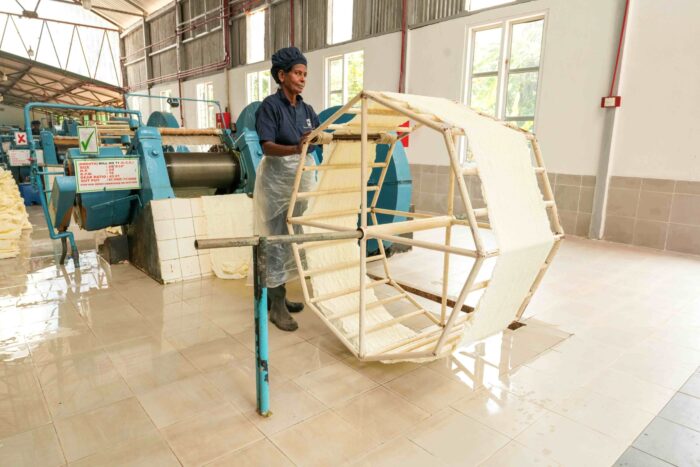 Horana Plantations complies with European Union Deforestation Regulations (1)