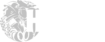 Description of Image